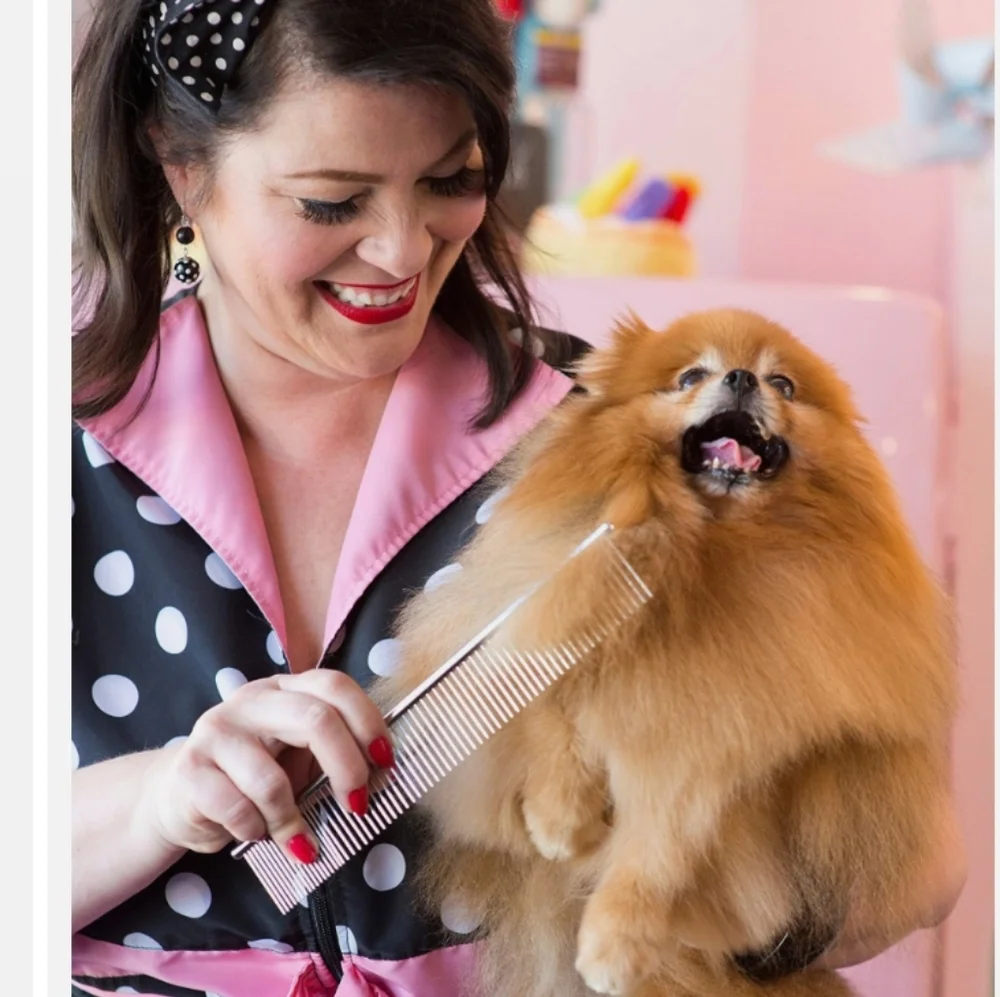 Ambesco Stainless Steel cutting metal pet comb